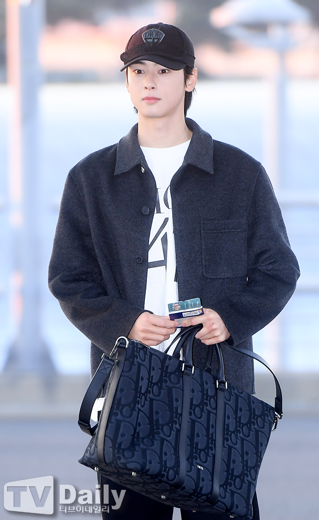 Investigation Launched into Cha Eunwoo's Family Corporation Over Tax Evasion Allegations